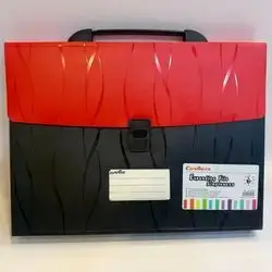 Connie expanding file BAG