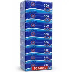 Sanita Tissue 300 Club - PACK 10