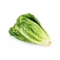 Lettuce