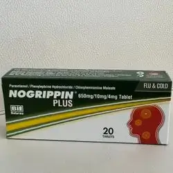 Nogripin Plus Flu & Cold