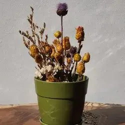 Dried Rose Vase