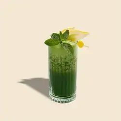 Lemon Mint Juice