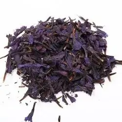 Blue Tea / Borago officinalis