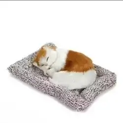 Cat With Sound