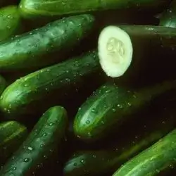Cucumber