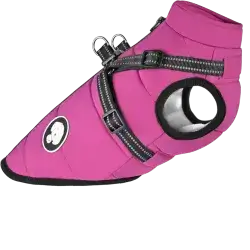 Harness S