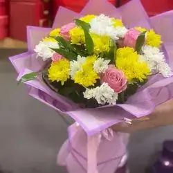 چەپبکی رۆز و داودی