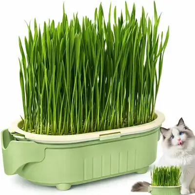 SUNSUN Cat Grass Pot