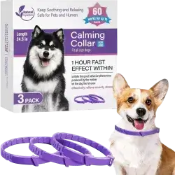 Calming Collar