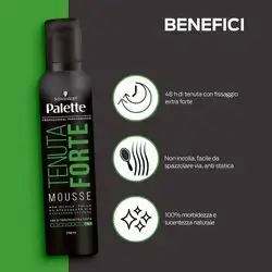 Palette Tenuta Forte 250 Ml. Professional - Mousse For Hair-5
