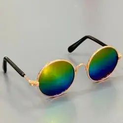 Pet Glasses S