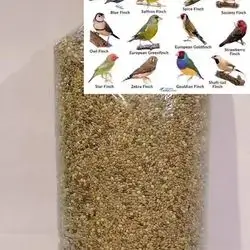 Bulbul Fandus Food