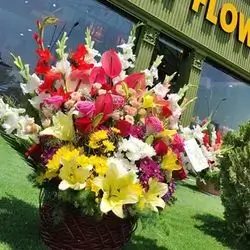Table Flower
