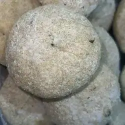 Gerish Kofta