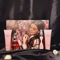 Women's perfume set for special occasions