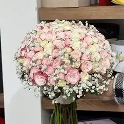 گوڵی بوک و دەرچوون