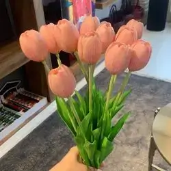 Tulip