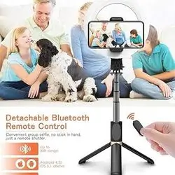 ELEGIANT SELFIE