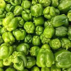 Round Pepper