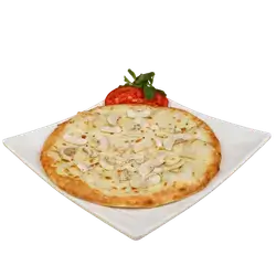 Akkawi Mushroom
