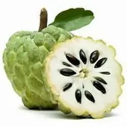 Custard Apple Kg