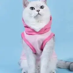 Hoodie M