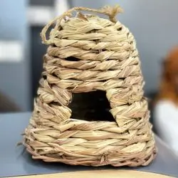 Bird House