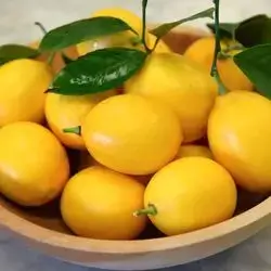 Lemon Baby