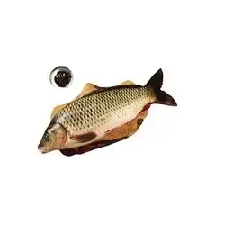 Fresh Carp Fish, 1kg