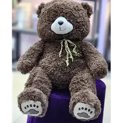 Teddy Bear