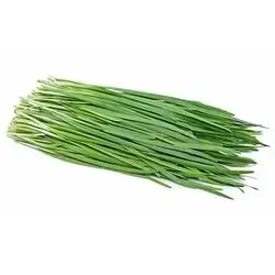Fresh Chives Bunch