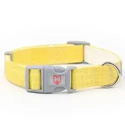 Dog Collar S