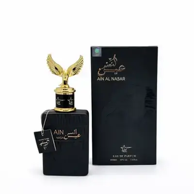 AIN AL NASAR