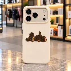Iphone 17 promax case