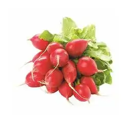 Fresh Red Radish Bunch