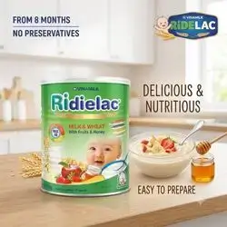 Ridielac Milk & Wheat with Fruits & Honey (400g)