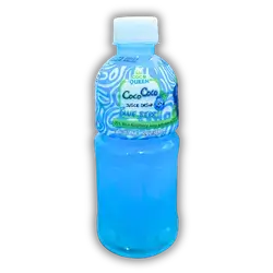 Coco Queen Plastic Juice 320ml