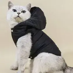 Hoodie L