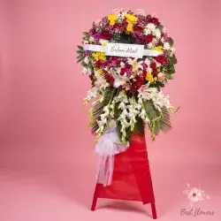 Stand Flowers-Colors