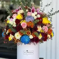 بۆکسی گوڵی سروشتی