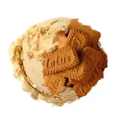 Lotus Ice Cream