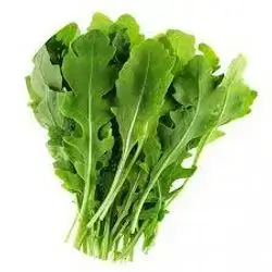 Watercress