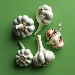 Garlic