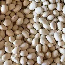 Turkish Badamli
