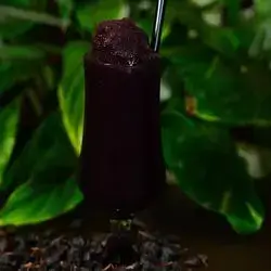  Raisins Slushy