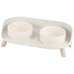 Cat Food and Bowl Ceramic Dishes