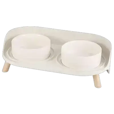 Cat Food and Bowl Ceramic Dishes