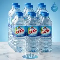 Life Water - 0.5ltr 1×12