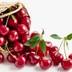 Cherry