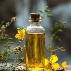 Ruta Oil 